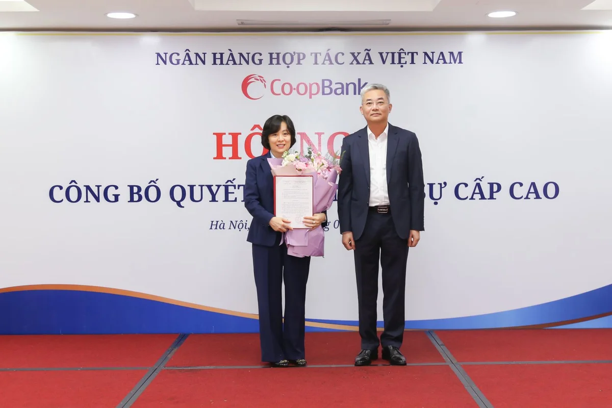 quản trị