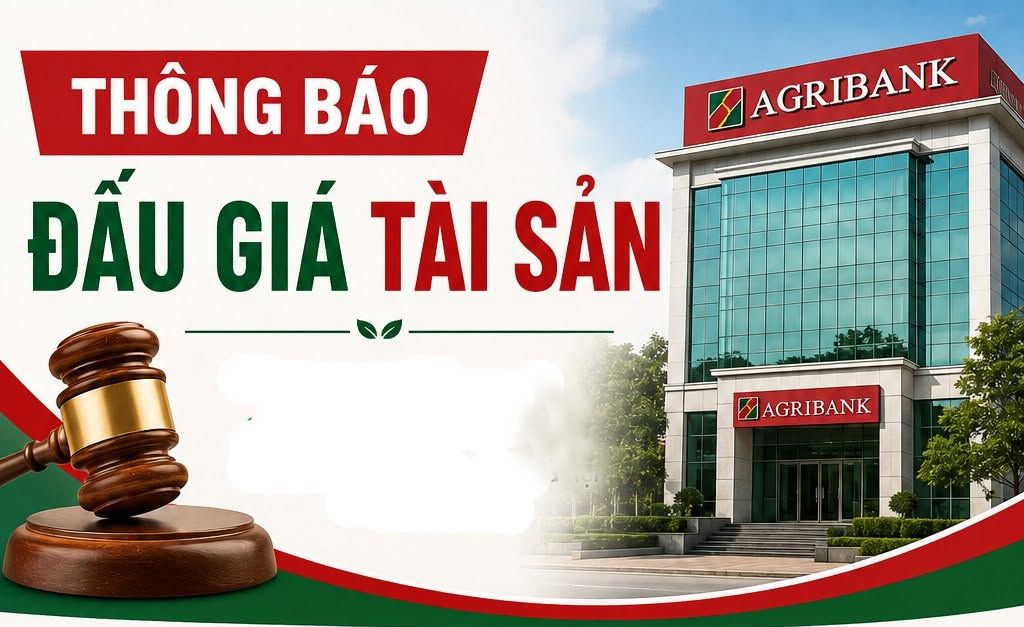 đấu giá