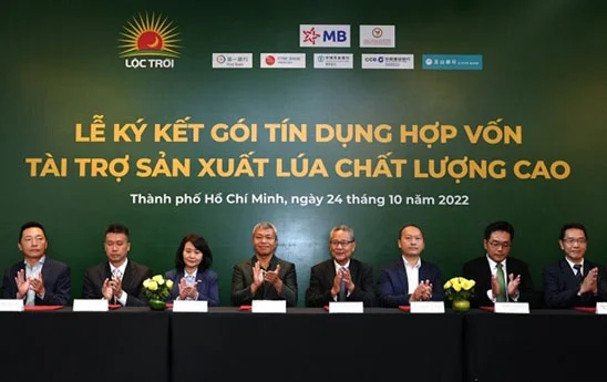 7 ngân hàng hợp vốn cho Lộc Trời vay 100 triệu USD sản xuất lúa chất lượng cao