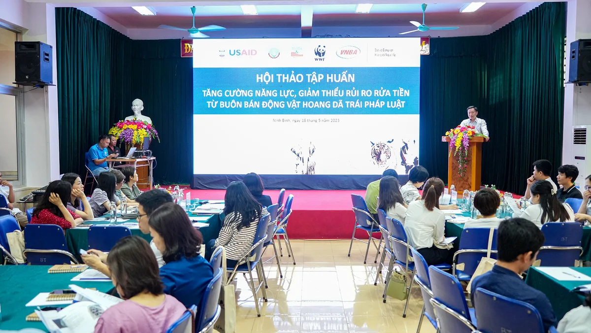 Toan canh 180523