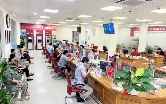 Agribank đã giải ngân hơn 116 ngàn tỷ đồng và 122 triệu USD cho vay ưu đãi hỗ trợ người dân, doanh nghiệp