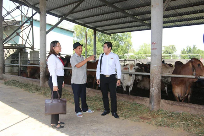 Agribank gop phan quan trong ngan chan va day lui tin dung den 3