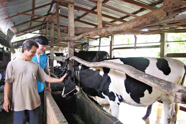 Agribank gop phan thuc day phat trien nong nghiep tuan hoan 2