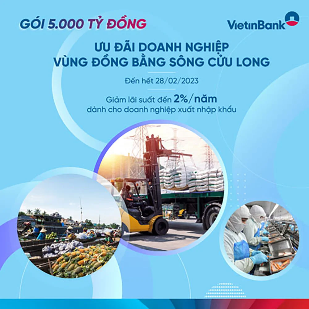 Vietinbank giam them 2 lai suat cho vay doanh nghiep vung dong bang song cuu long 1