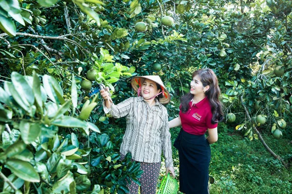 Agribank tu hao da gop phan quan trong vao thanh tuu chung 2
