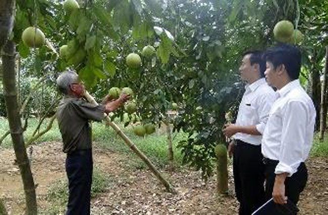 Ngan hang chap canh cho nong dan lam giau 1