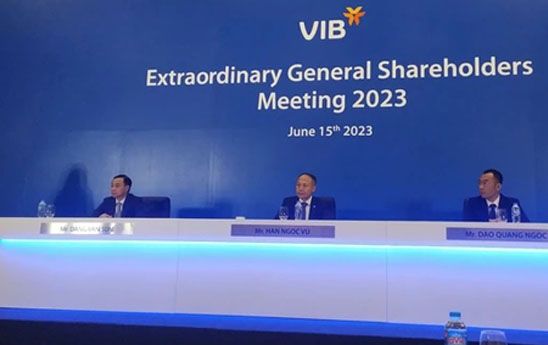 VIB bầu thêm thành viên ban kiểm soát chuyên trách và thông qua phương án cơ cấu lại