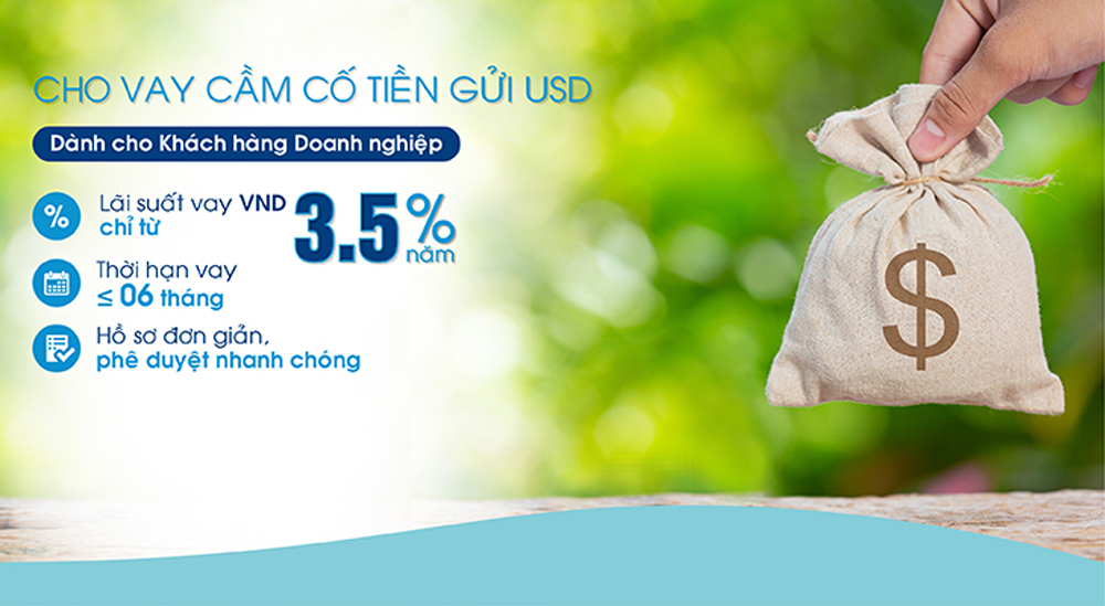 OceanBank cho vay VND cầm cố tiền gửi USD với lãi suất từ 3,5%/năm