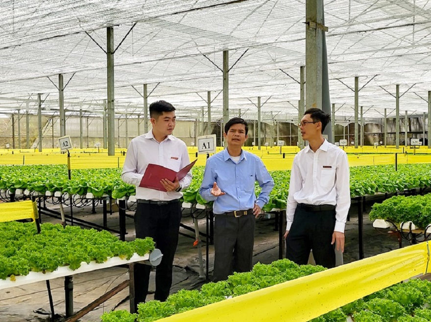 Agribank giảm lãi suất cho vay 7 lần liên tiếp