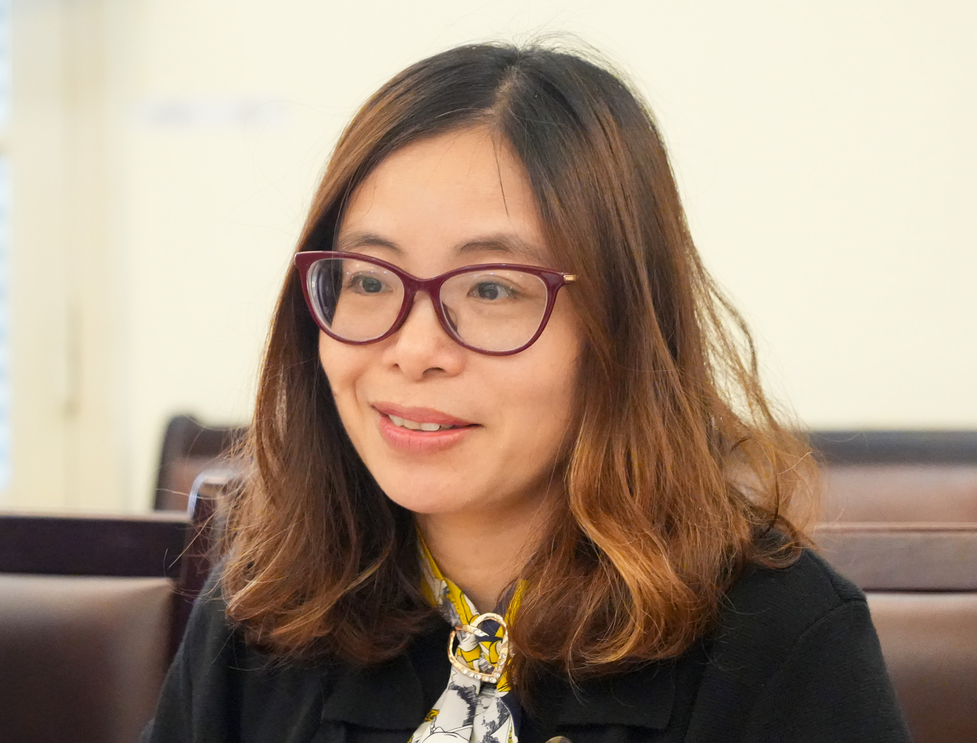 Bà Nguyễn Thị Hải Bình - Trưởng ban Nghiên cứu và điều phối chính sách giám sát