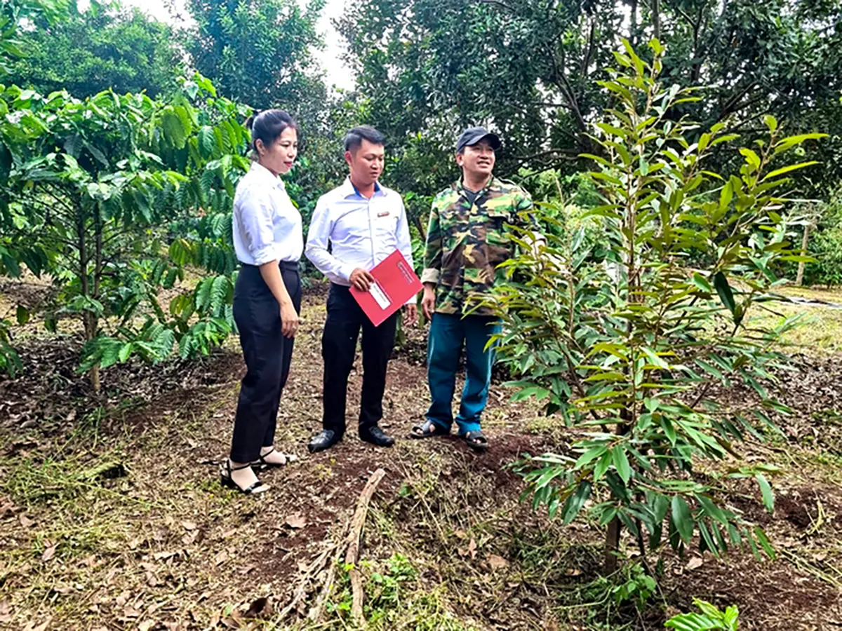 Nông nghiệp Gia Lai khởi sắc nhờ “bệ phóng” Agribank Đông Gia Lai