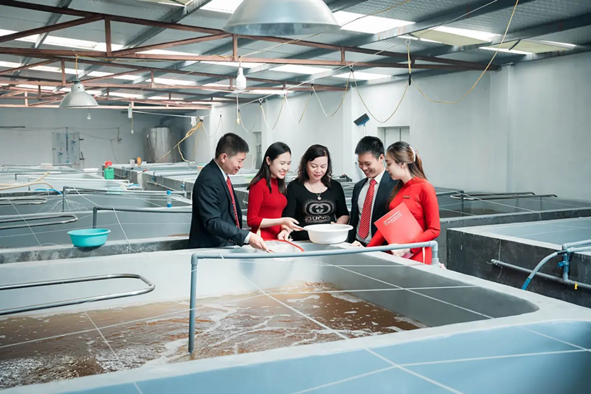 Agribank cùng ngành Ngân hàng tăng cường sức hấp thụ vốn cho doanh nghiệp