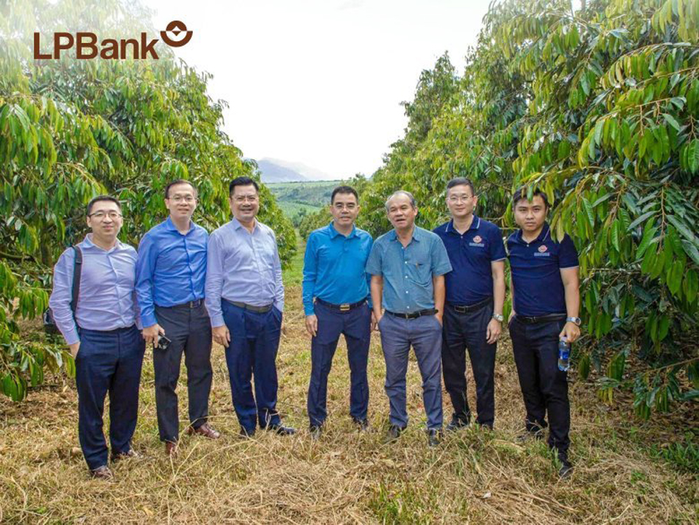LPBank dành 6.000 tỷ đồng tín dụng xanh cho Miền Trung và Tây Nguyên