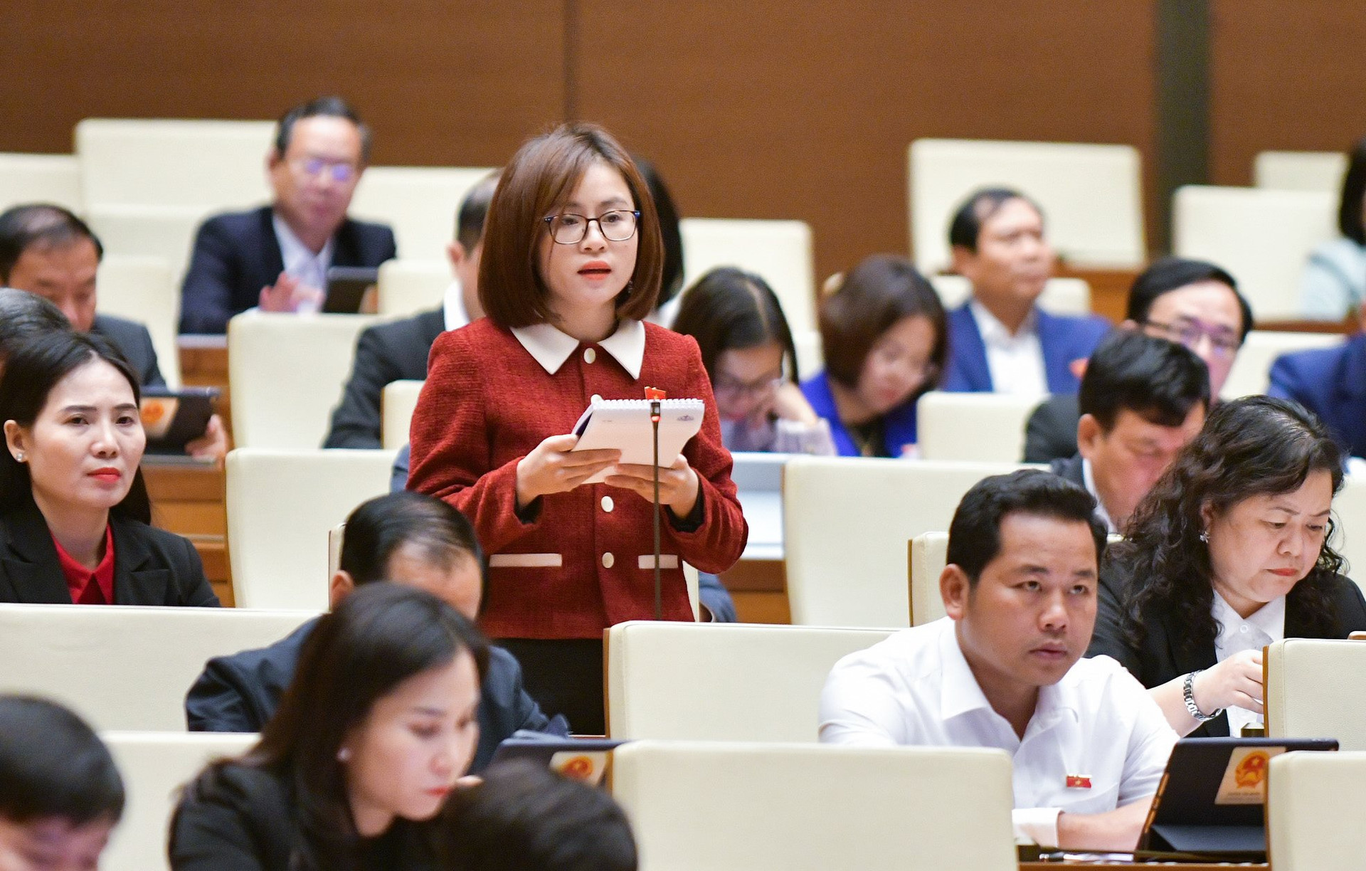 Đại biểu Nguyễn Việt Hà (Tuyên Quang) đề nghị cần có các quy định để TCTD xử lý nợ xấu