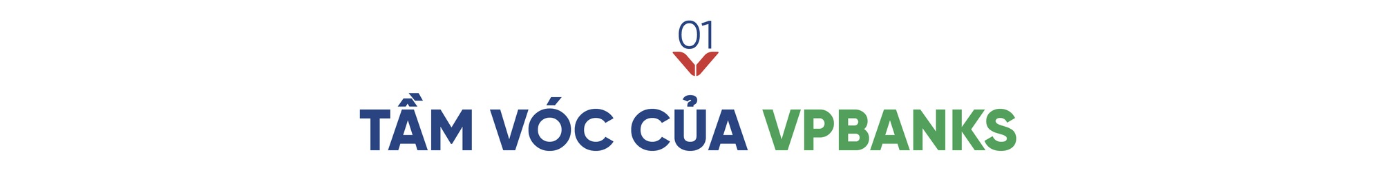Tầm vóc của VPBANKS