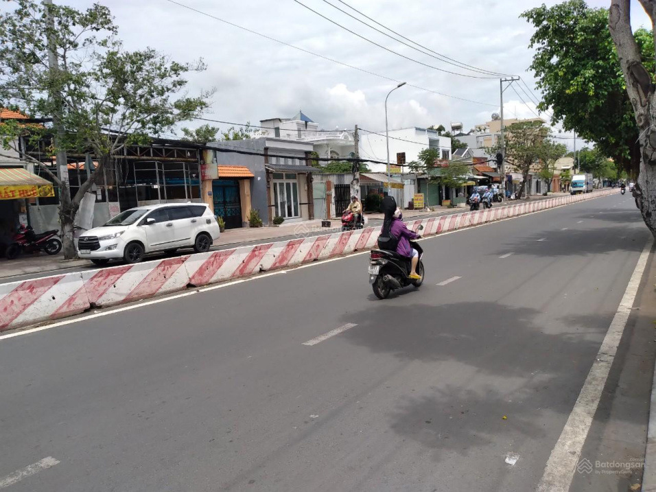 đấu giá