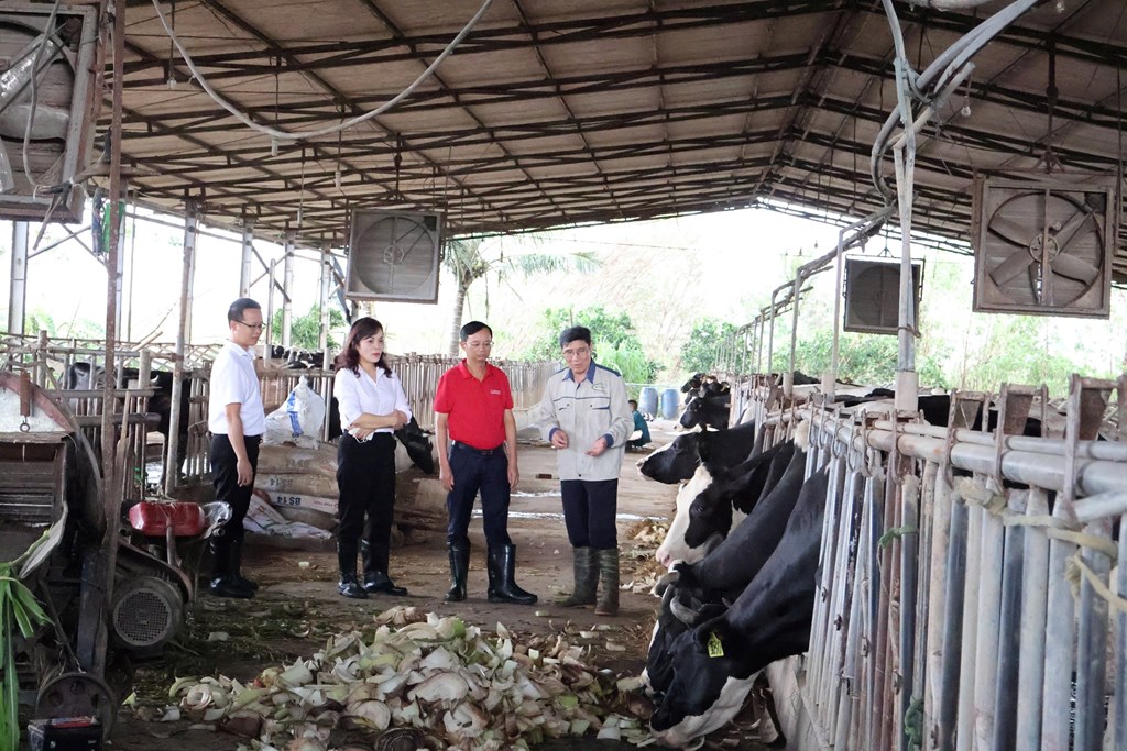 Đối tượng hưởng ưu đãi của Agribank là khách hàng cá nhân bị thiệt hại do bão số 3. Ảnh: Hải Yến/BNEWS/TTXVN