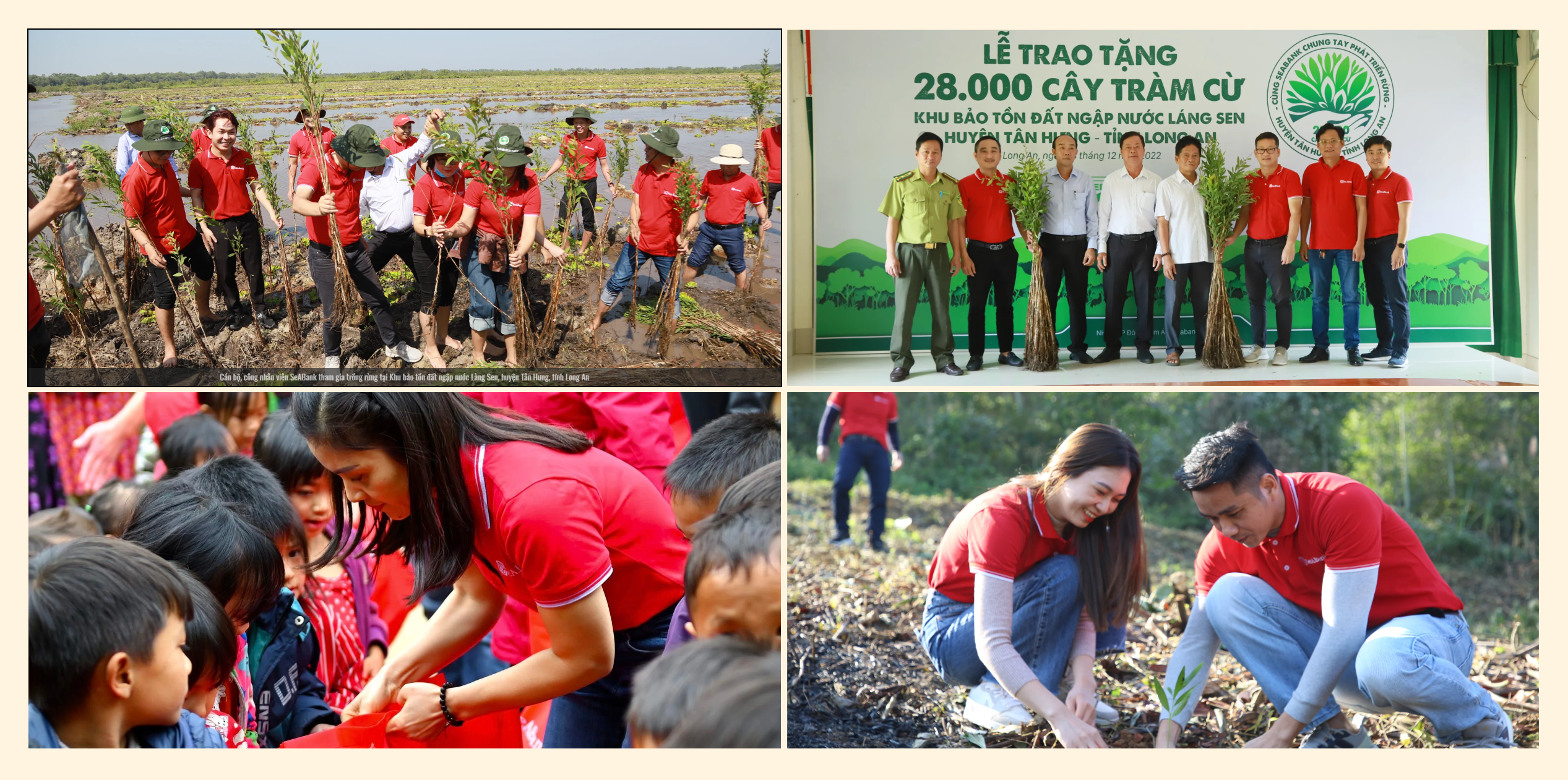Cán bộ, công nhân viên SeABank tham gia trồng rừng tại Khu bảo tồn đất ngập nước Làng Sen, huyện Tân Hưng, tỉnh Long An