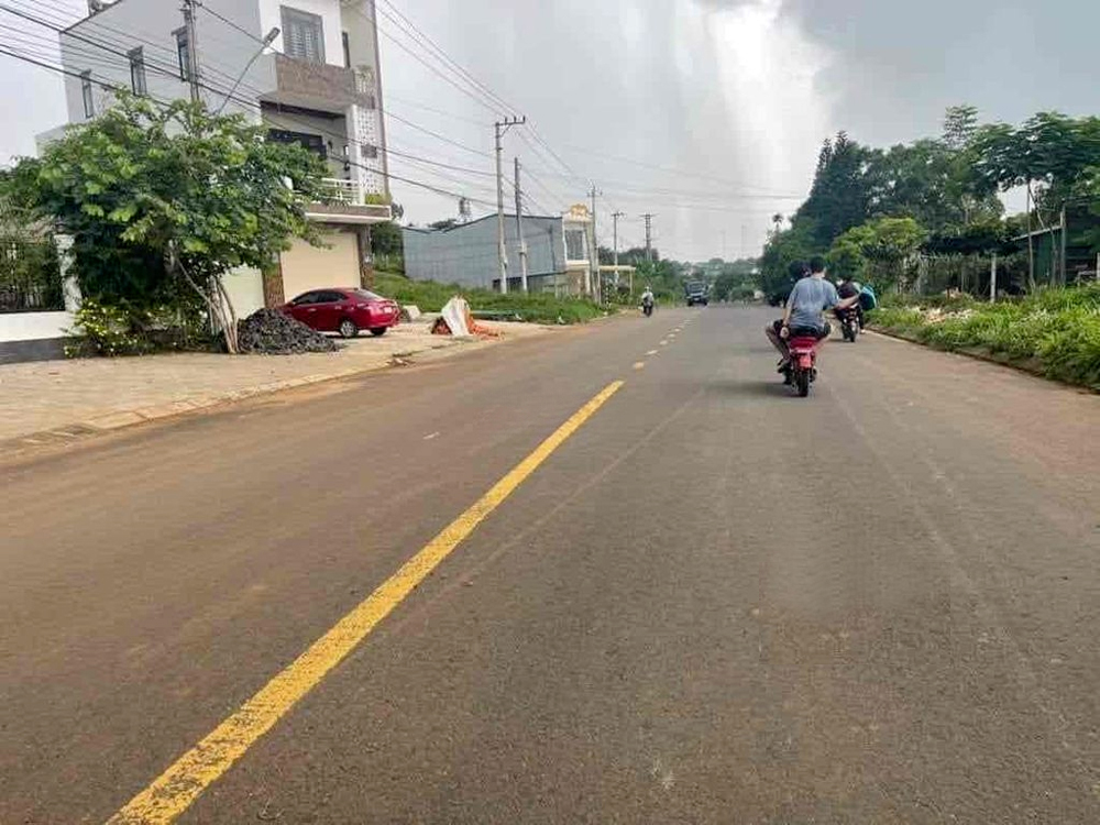 đấu giá