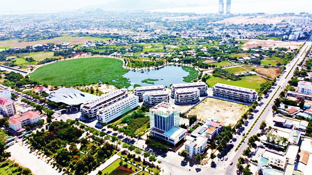 đấu giá