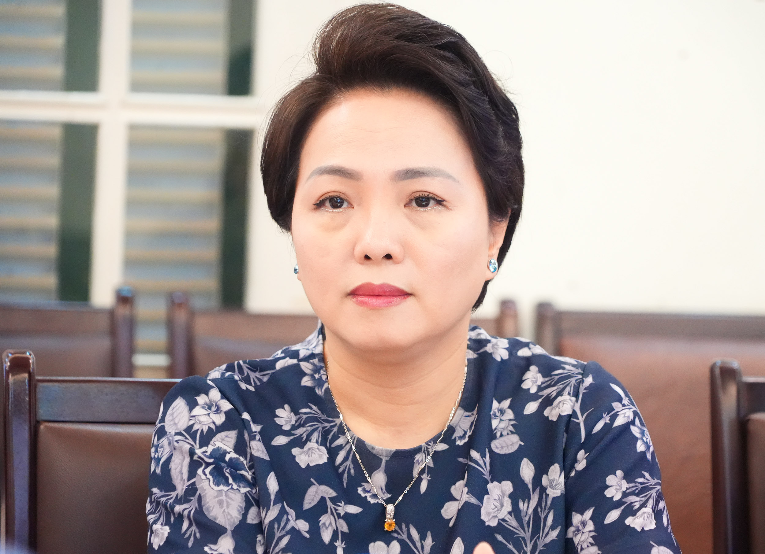 Bà Đặng Tuyết Dung, Giám đốc Visa Việt Nam và Lào