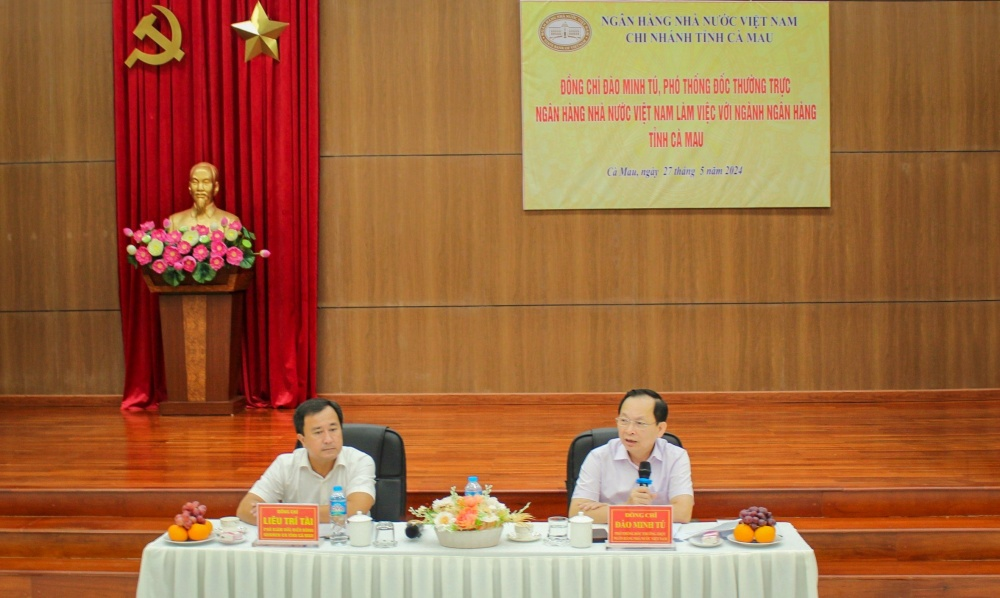 Phó Thống đốc Thường trực Đào Minh Tú chủ trì buổi làm việc