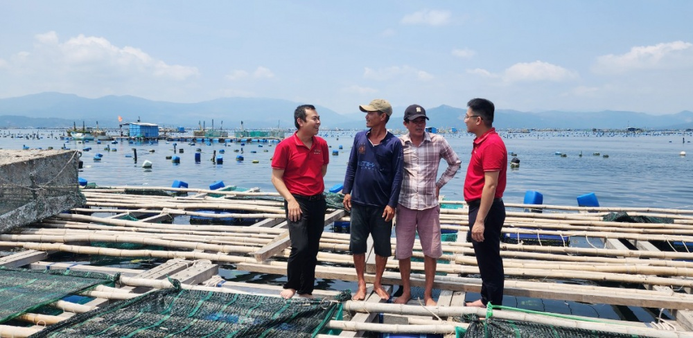 Ngành Ngân hàng trên địa bàn Phú Yên đã nhanh chóng vào cuộc, thực hiện nhiều giải pháp hỗ trợ bà con nuôi tôm thoát khỏi khó khăn và sớm ổn định sản xuất trở lại...