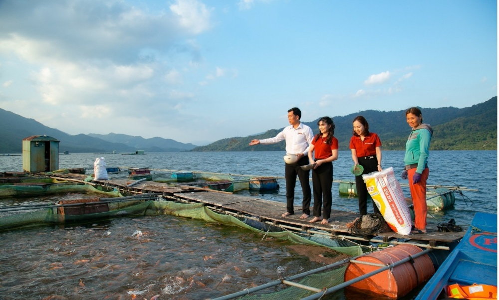 tam nông