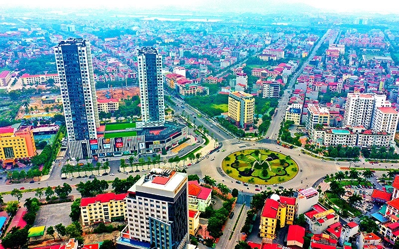 đấu giá