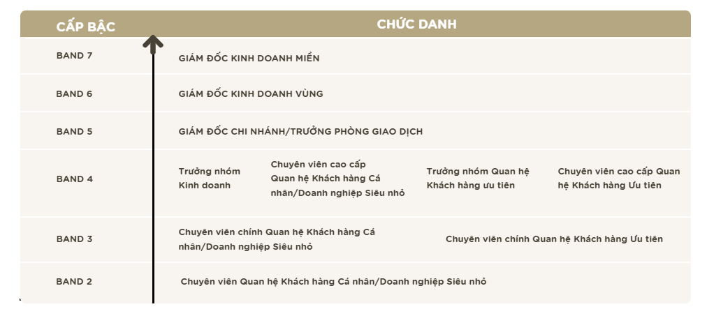 MSB tuyển dụng