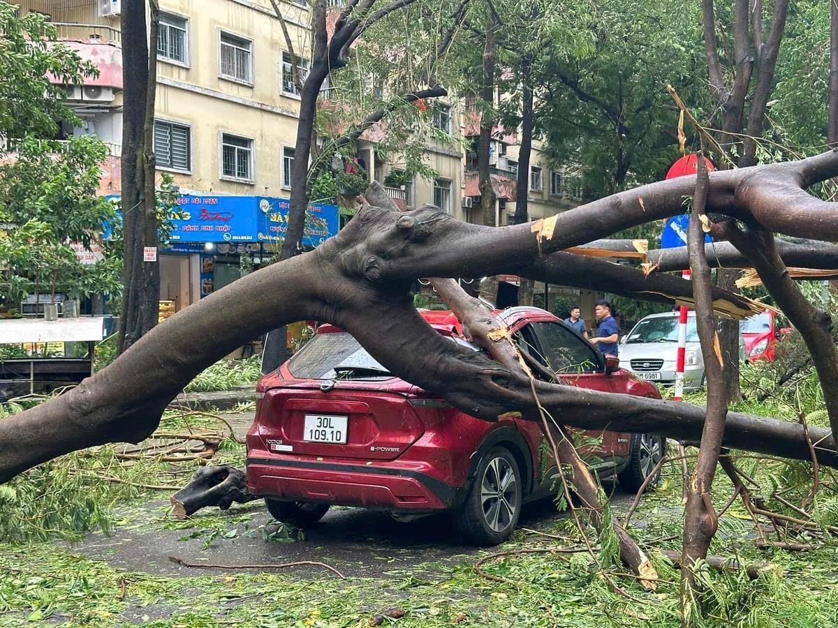 Typhoon Yagi