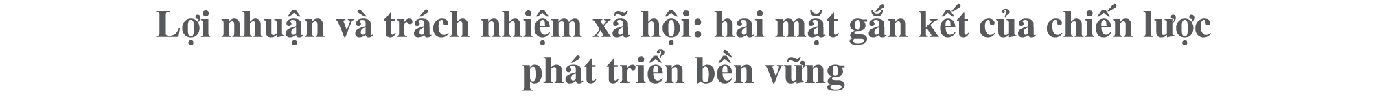 Lợi nhuận và trách nhiệm xã hội: hai mặt gắn kết của chiến lược phát triển bền vững
