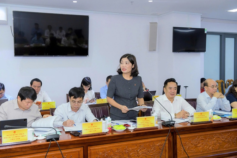 Các ngân hàng thương mại lớn tham gia giải đáp về cơ chế tiền tệ, ngân hàng với các doanh nghiệp