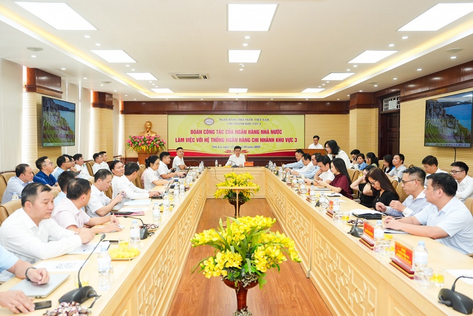 Đoàn công tác Ngân hàng Nhà nước Việt Nam làm việc với hệ thống ngân hàng Khu vực 3