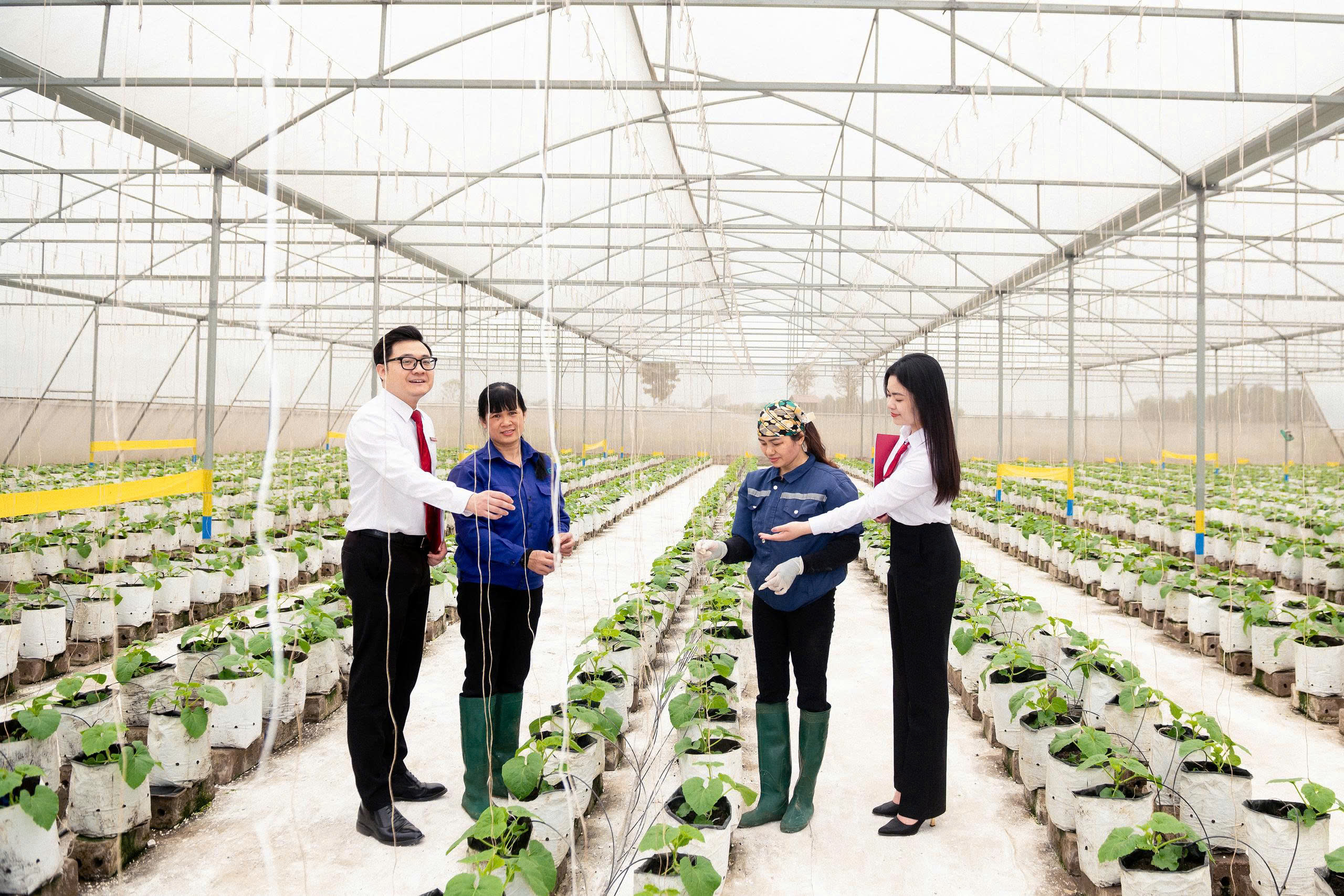 Agribank tăng cường nguồn lực cho khu vực “Tam nông” khẳng định cam kết đồng hành cùng các địa phương trong việc lan tỏa tài chính toàn diện, hướng đến một nền kinh tế bao trùm và phát triển bền vững