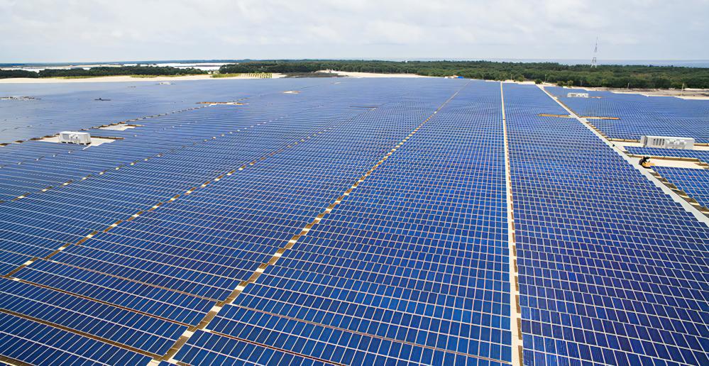 Agribank đã trở thành một trong những ngân hàng tiên phong trong “kiến tạo xanh”, cấp tín dụng cho các dự án xanh