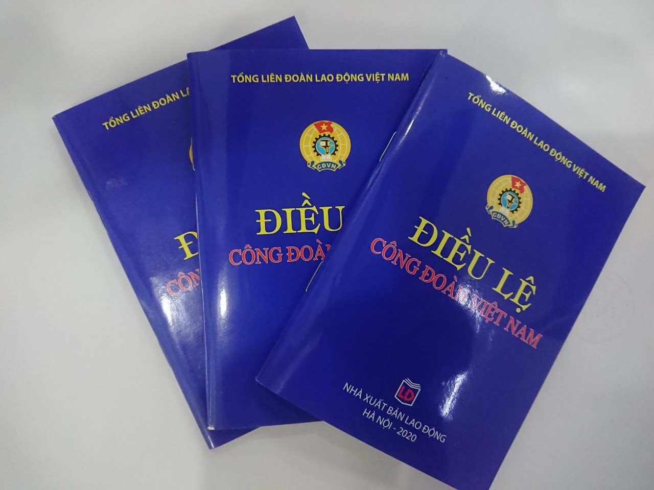 Điều lệ Công đoàn Việt Nam