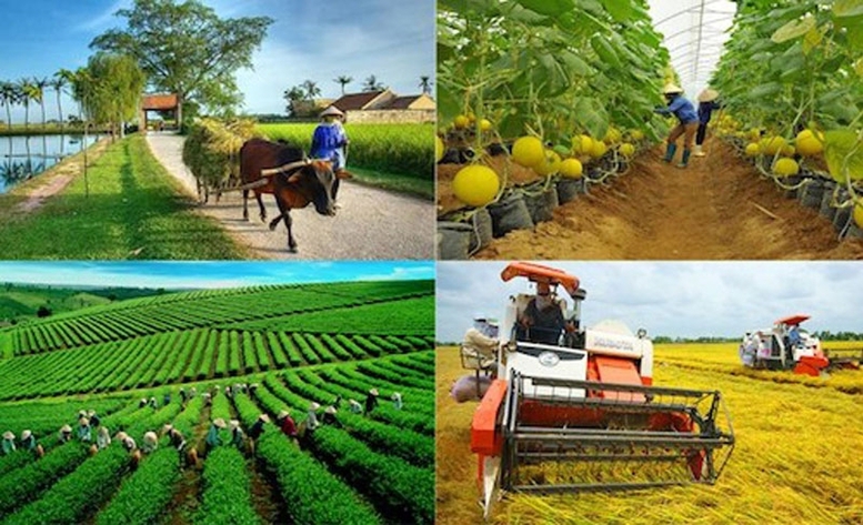 Các ngân hàng hỗ trợ phát triển nông nghiệp bền vững, tăng cường khả năng chống chịu với biến đổi khí hậu, đồng thời mở rộng khả năng tiếp cận tài chính cho các doanh nghiệp nhỏ và vừa (DNNVV) do phụ nữ làm chủ tại Việt Nam