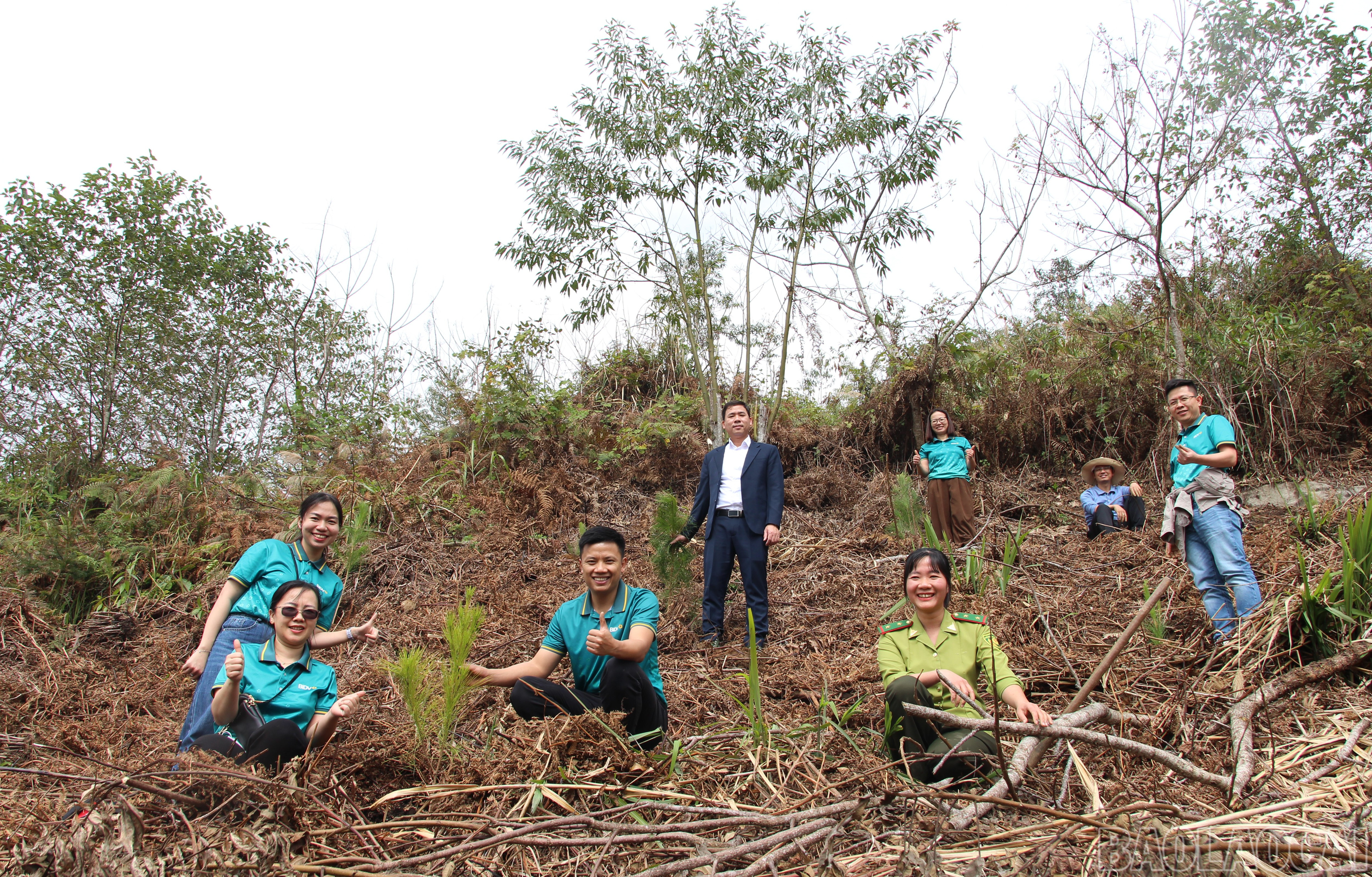 Trồng cây góp phần phát triển lâm nghiệp bền vững và ứng phó với biến đổi khí hậu.