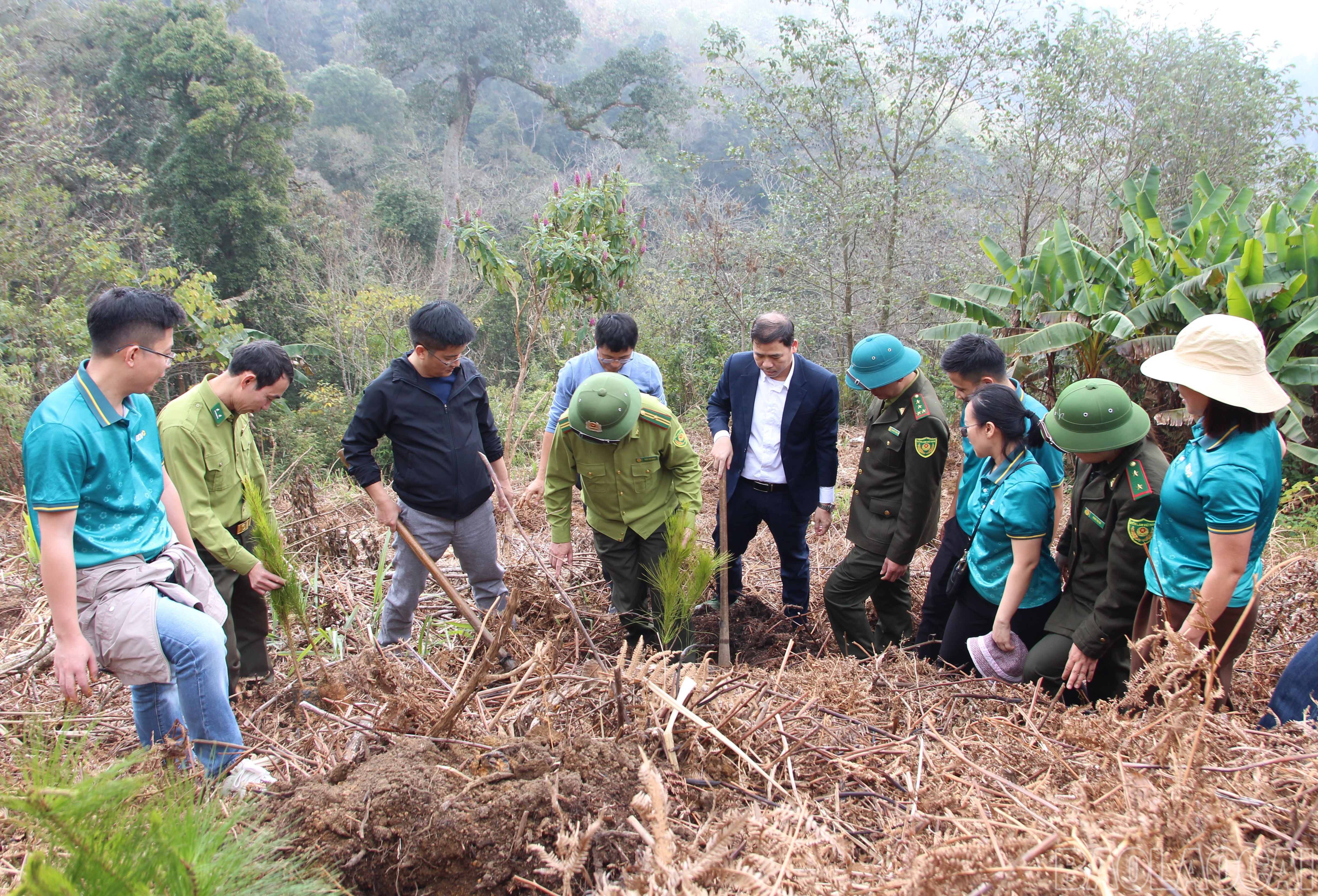 Công đoàn cơ sở BIDV Lào Cai hỗ trợ hơn 270 triệu đồng trồng rừng phòng hộ tại Bát Xát