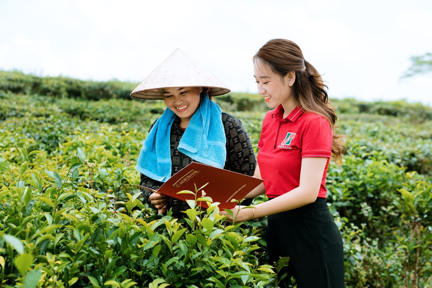 Agribank tiếp sức cho các mô hình OCOP và làng nghề truyền thống tạo ra chuỗi giá trị sinh kế ổn định và bền vững