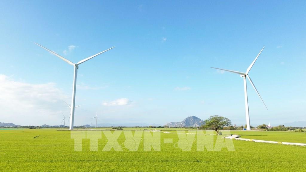 Đồng điện gió Đàm Nại, xã Thuận Bắc, tỉnh Khánh Hòa hiện nay. Ảnh: Nguyễn Thành - TTXVN 