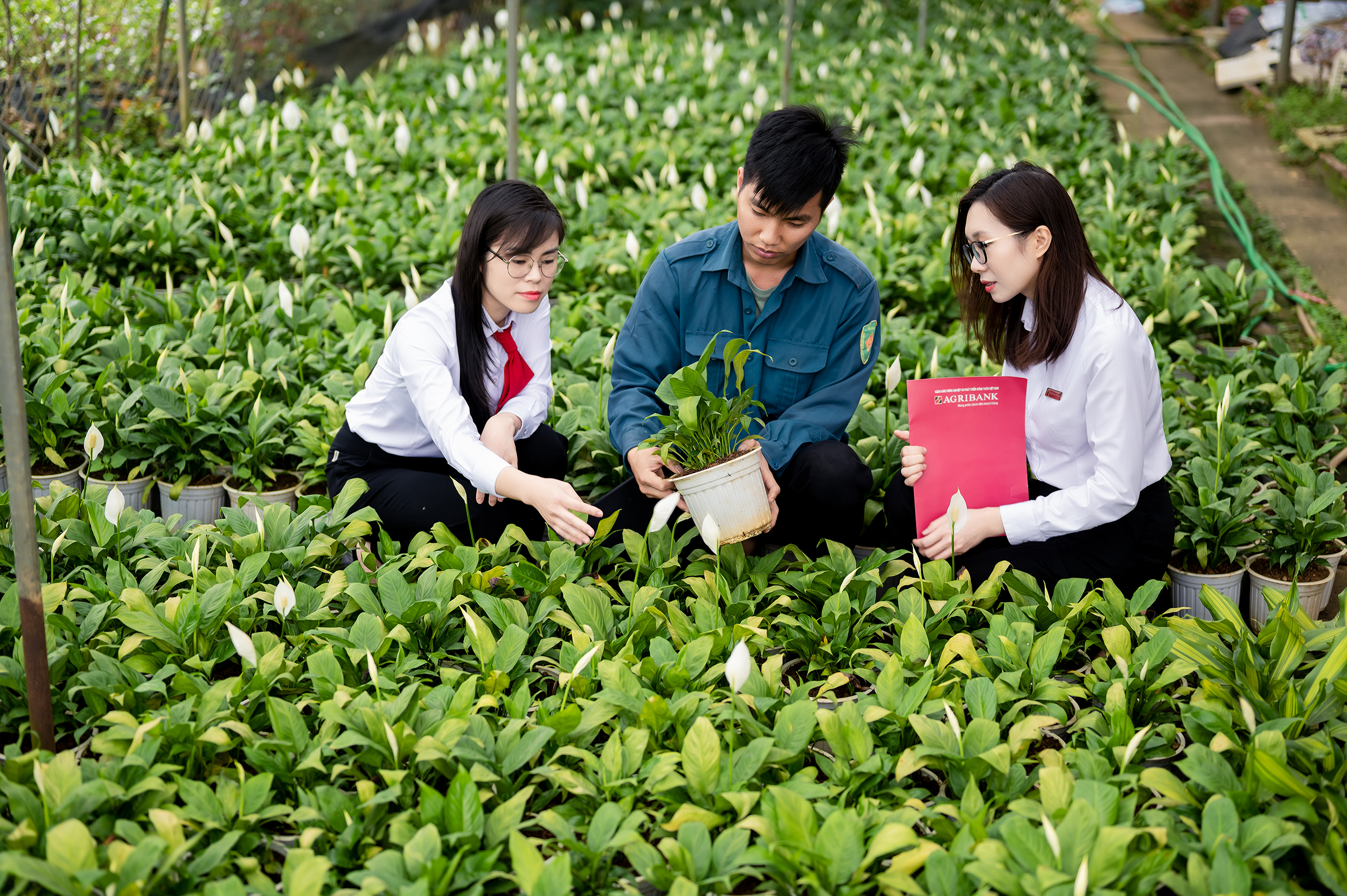Nữ cán bộ, người lao động Agribank luôn cố gắng hoàn thành tốt nhiệm vụ chuyên môn ở các vị trí công tác khác nhau