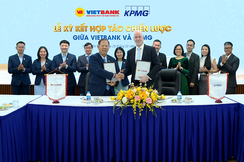 hợp tác