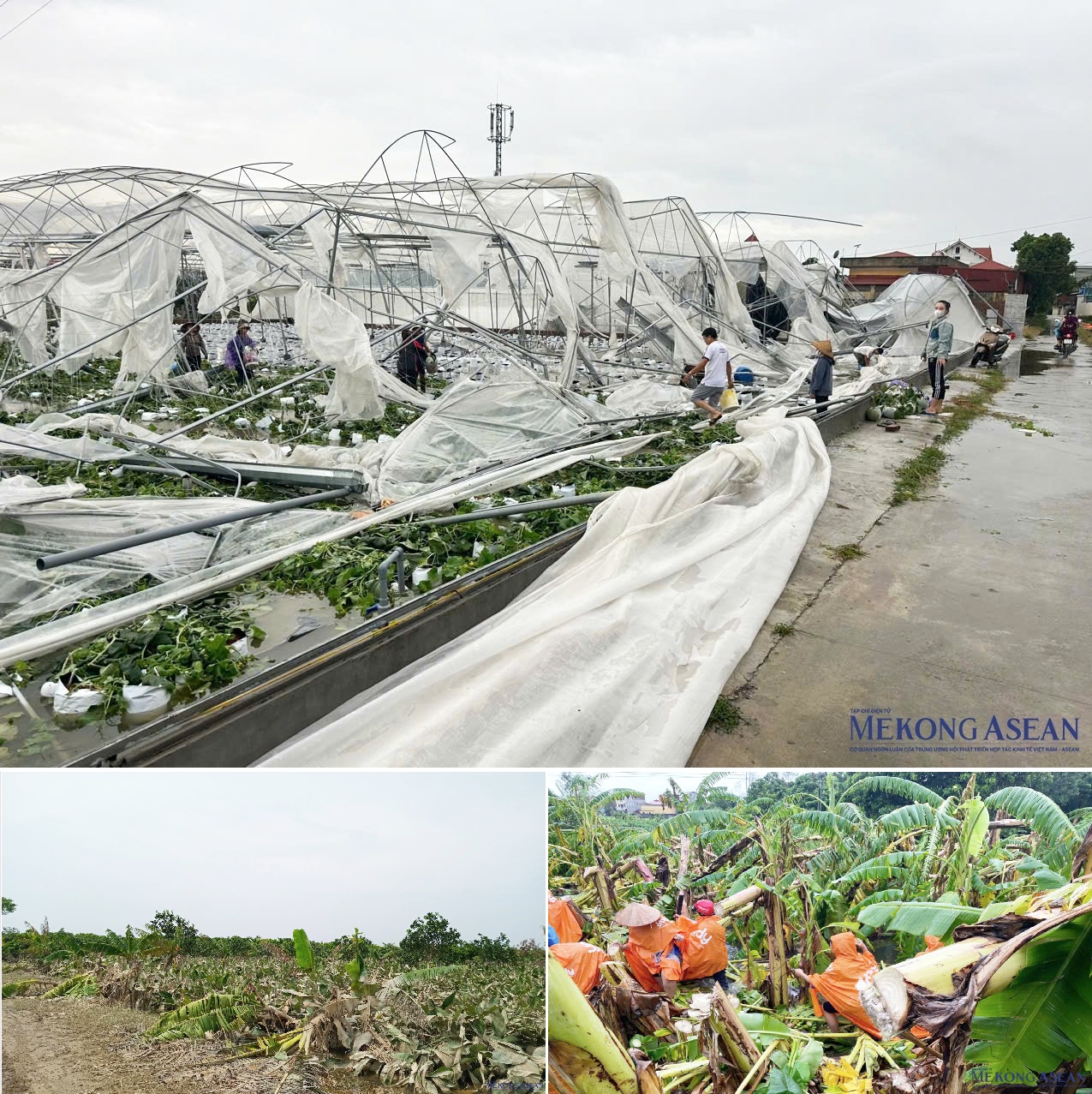 Những thiệt hại nặng nề do cơn bão Yagi gây ra