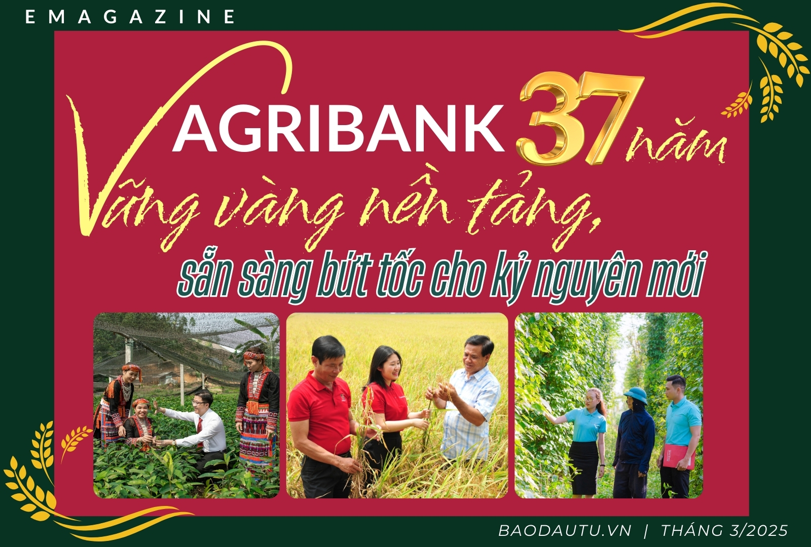 Agribank 37 năm vững vàng nền tảng, sẵn sàng bứt tốc cho kỷ nguyên mới