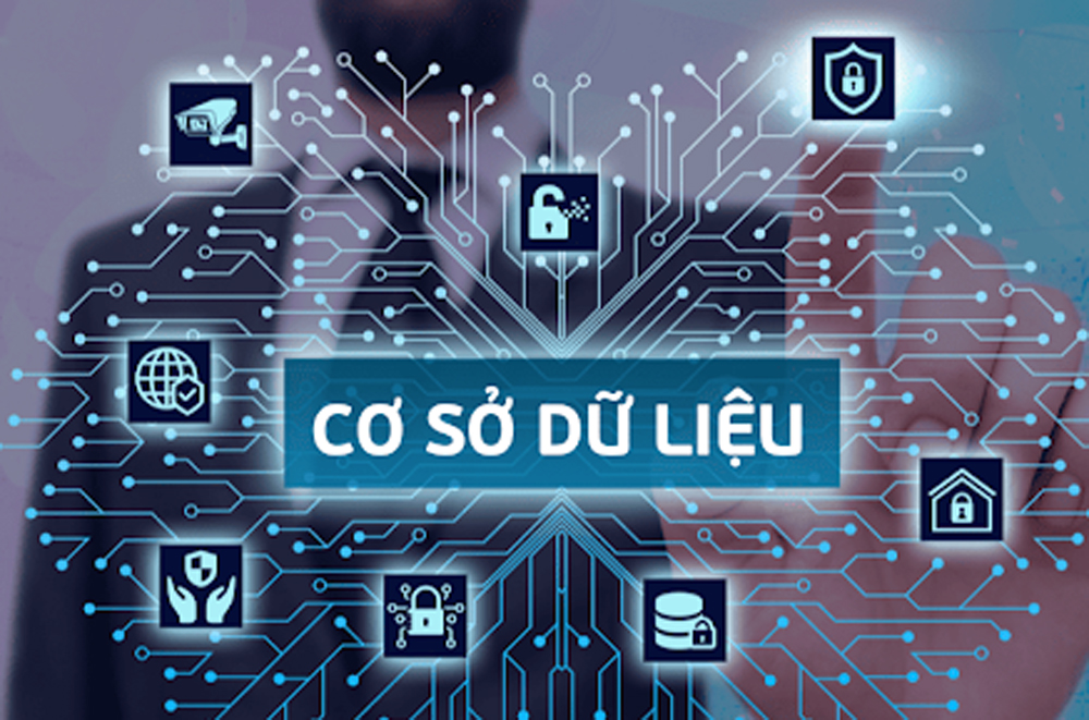 cơ sở dữ liệu