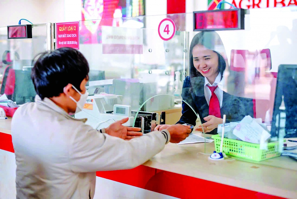 Tăng cho vay tín chấp đối với nông hộ và các mô hình sản xuất theo chuỗi