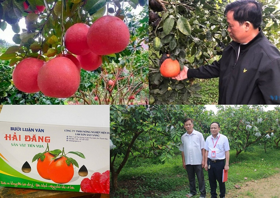 Agribank Lam Sơn: Bệ phóng cho nông nghiệp sạch và công nghệ cao tại Thanh Hóa