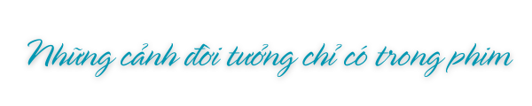 Mệnh lệnh từ trái tim, của lương tri và trách nhiệm với cộng đồng
